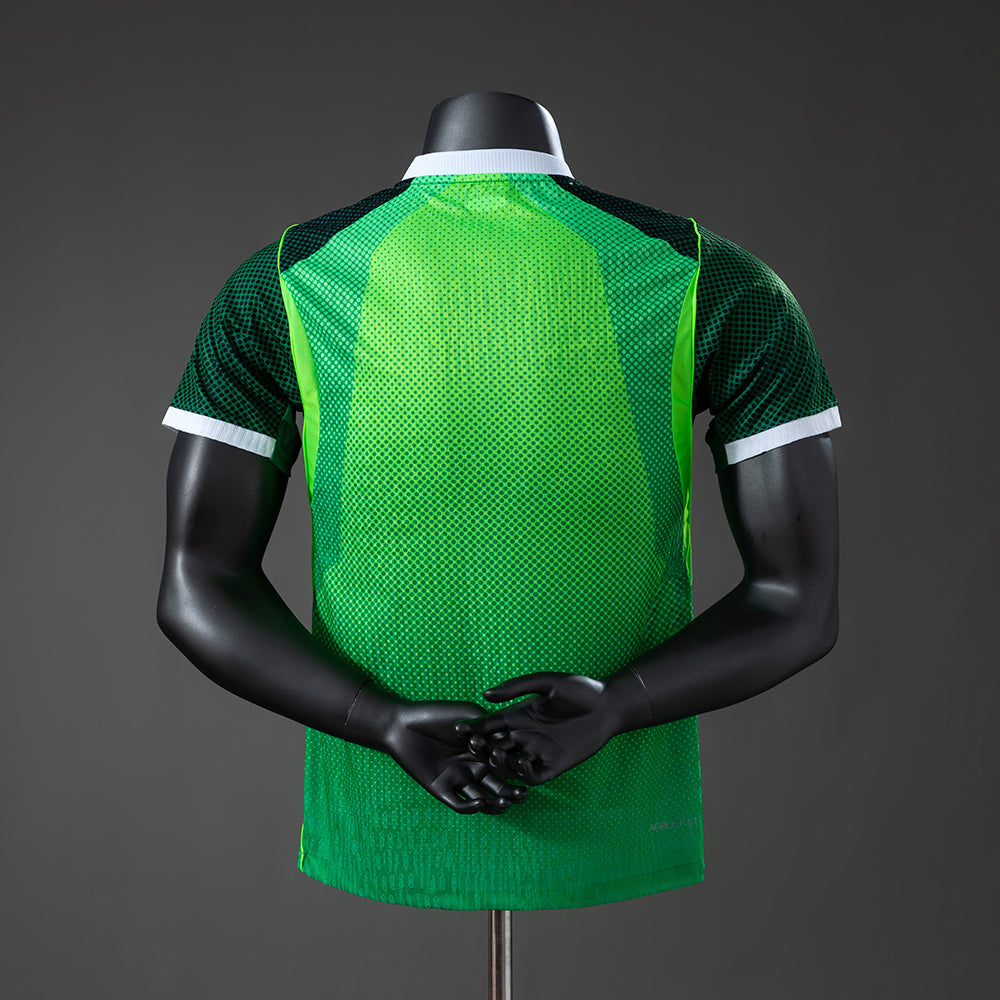 Maillot Nigéria Domicile 25/26
