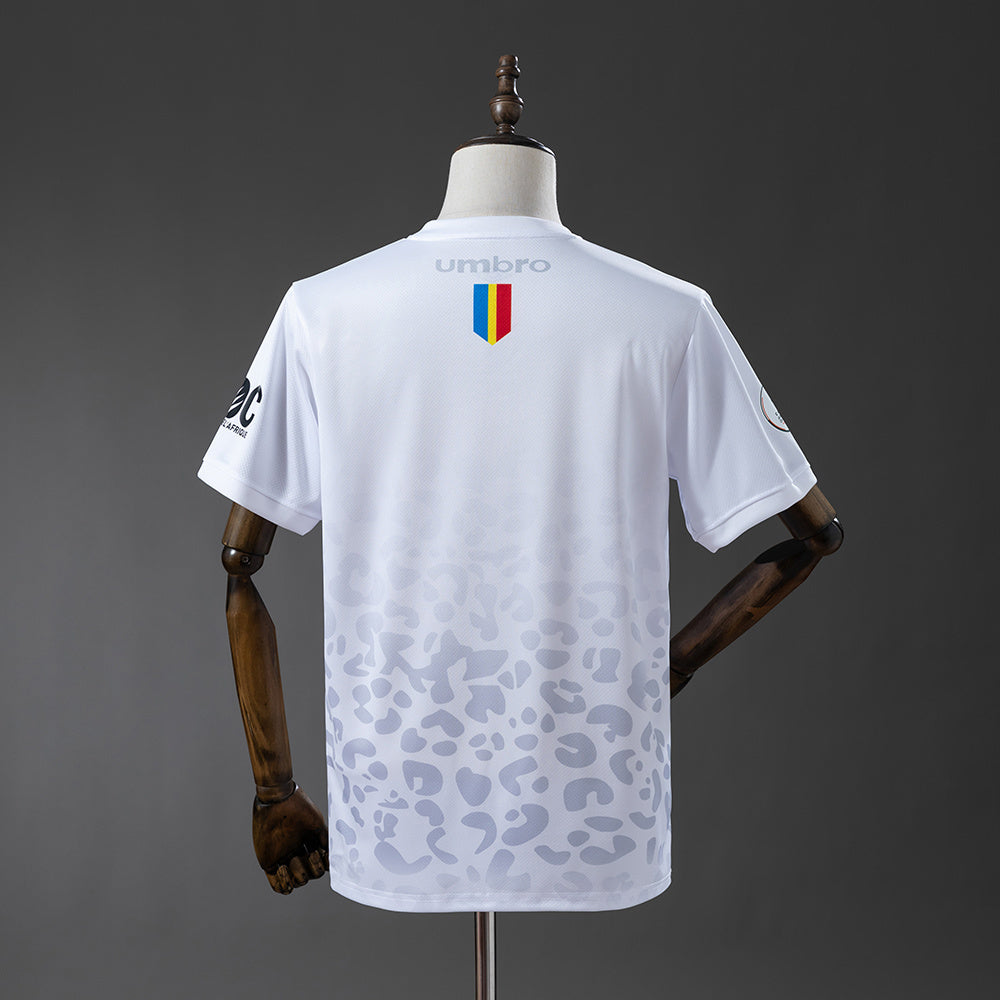 Maillot Congo RDC Extérieur 25/26