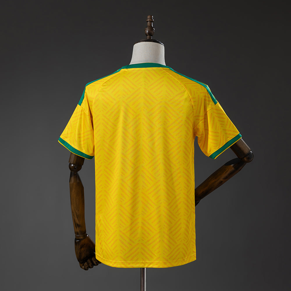 Maillot Afrique Du Sud Domicile 25/26