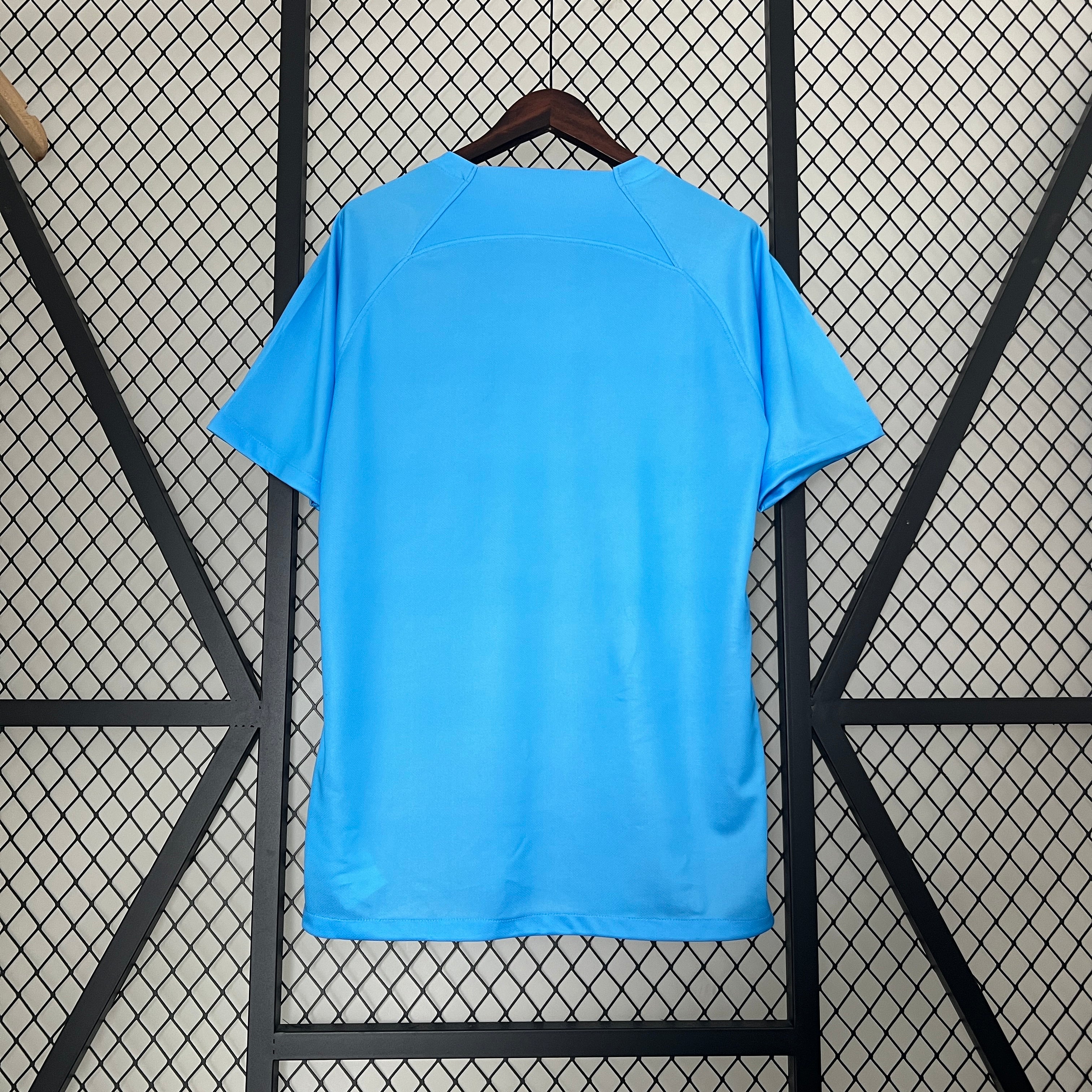 Maillot Pays Bas Concept 24/25